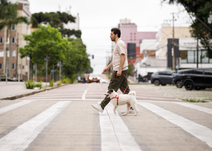 Person walking a dog across a street