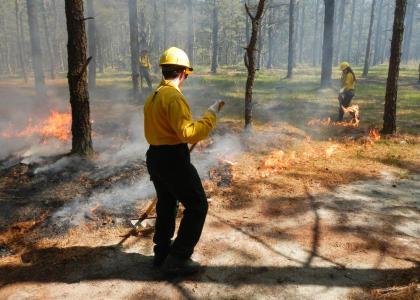 Forest fire fighters with prescribed burn