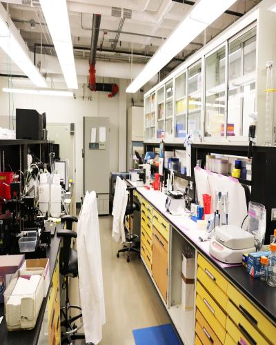 lab bench space