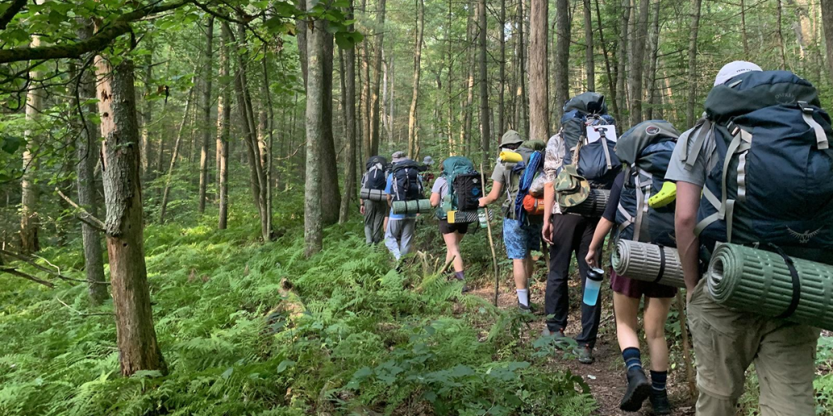 A group of people backpacking in the woods.