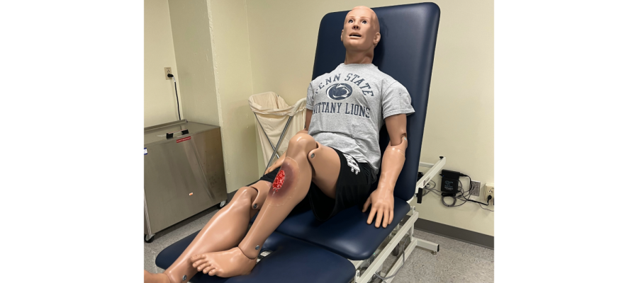 A medical manikin, 'Hal', sits upright on a high-low table and features a wound on its shin. 