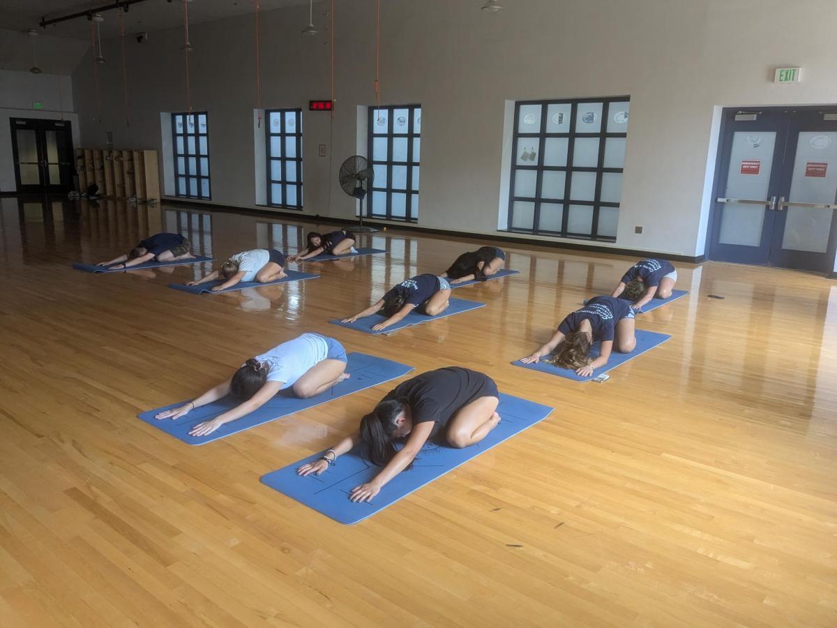 =CHIP participants learning yoga.